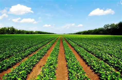 Experts agro-économiques ASS